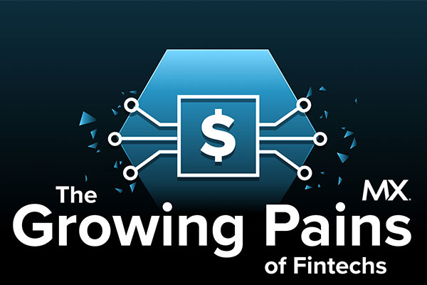 Growing Pains of Fintechs in the Financial Industry